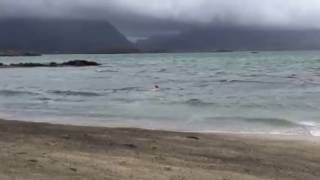 A swim in the Lofoten islands