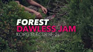 Korg Electribe Dawless Jamming at the Forerst #trance #trancemusic #dawlessjam #korgelectribe2