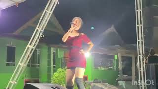 Abang Rony Cover By Asisah  The Ark Project