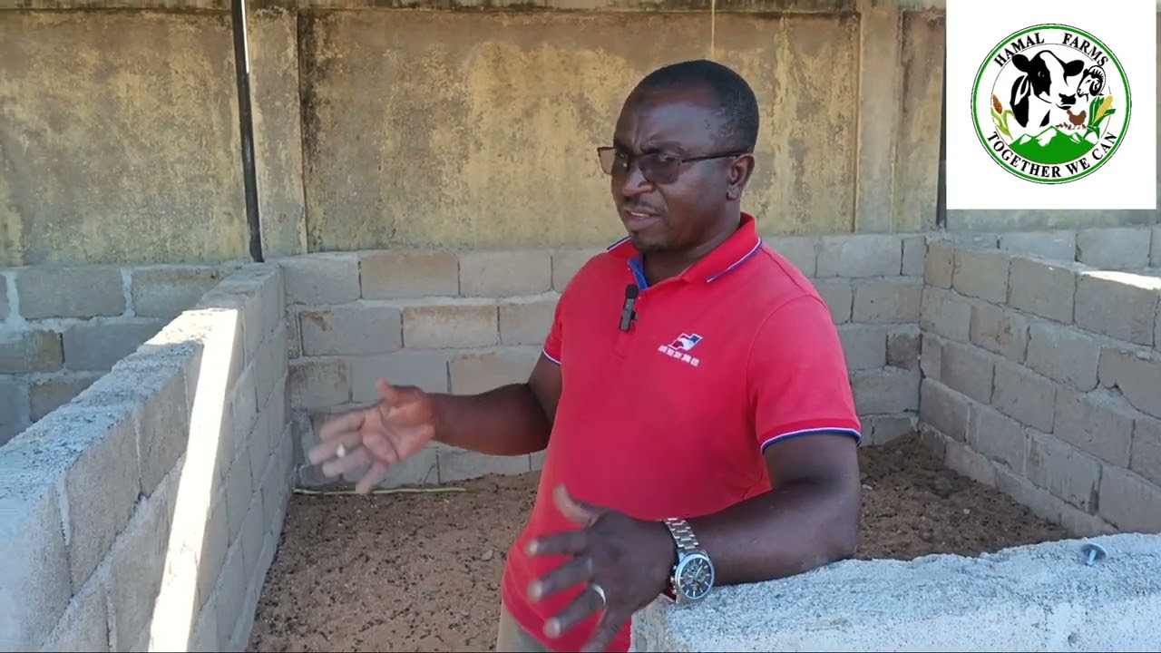 Débarrassez-vous des parasites pour le bien être de vos animaux 