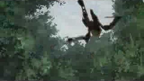 [AMV] Critical Mass - Code Geass - toby Mac - Ignition