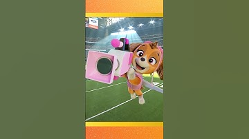 Skye fixes the sky camera the NFL Wildcard Game! #shorts