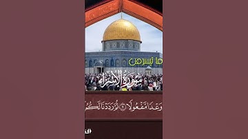 #سورة ماتيسر من #سورة_الإسراء #قرآن #تلاوات #القرآن_الكريم #quran