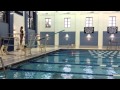 Alison profeta diving