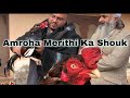 Amroha merithi birds of irfan bandial  shouq of irfan sahb  best amroha pure merethi aseel