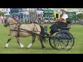 HORSE CARRIAGE DRIVING DORSET STEAM FAIR