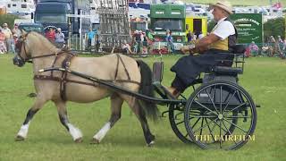 HORSE CARRIAGE DRIVING DORSET STEAM FAIR