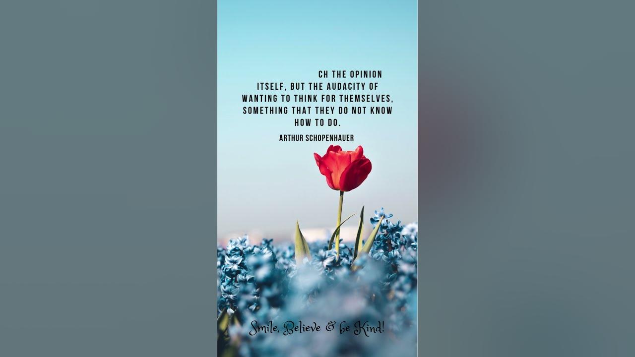 The one who THINKS DIFFERENTLY... Arthur Schopenhauer #schopenhauer # ...