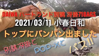 バス釣り】ハートランド別誂 冴掛710AGSでトップルアーを投げて釣って