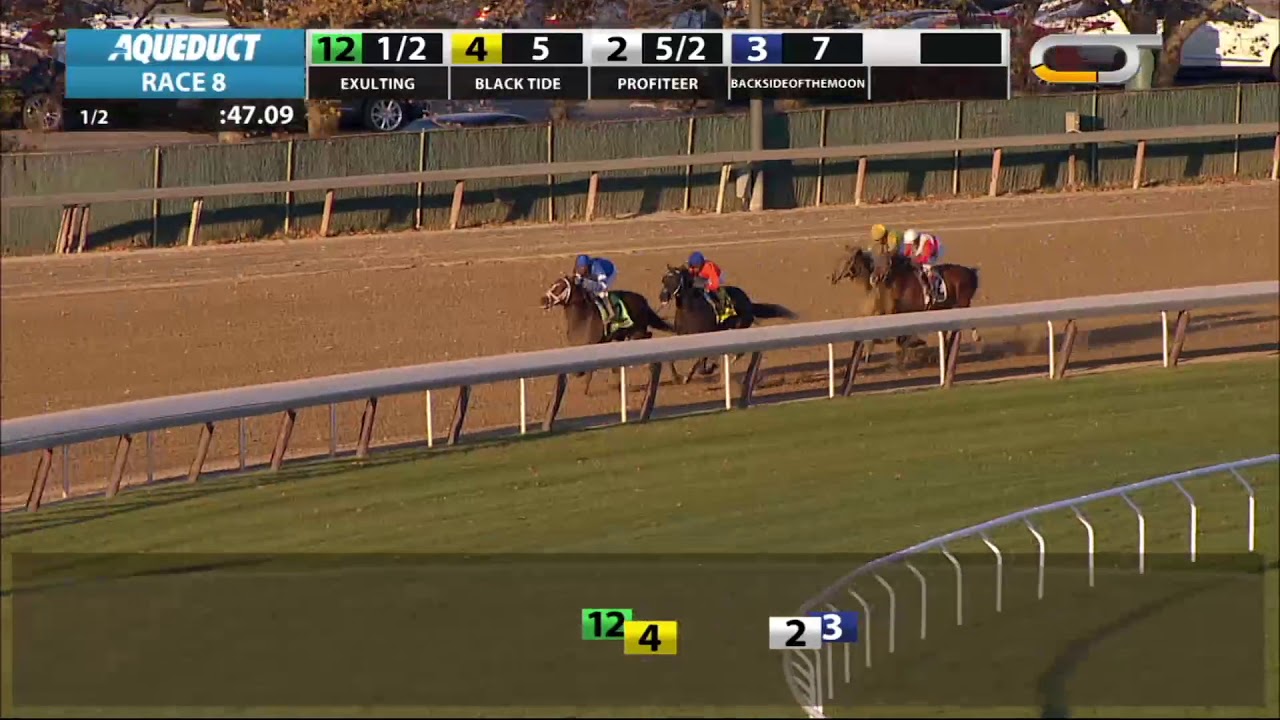 horse racing news Exulting - 2018 - The Artie Schiller Stakes