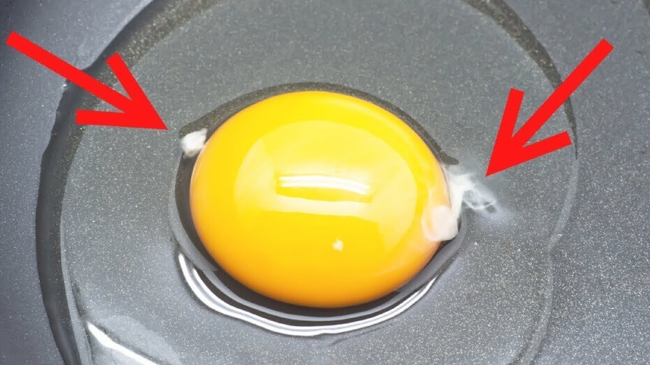 THIS IS WHAT IT MEANS IF YOU SEE A WHITE FIBER IN AN EGG YouTube