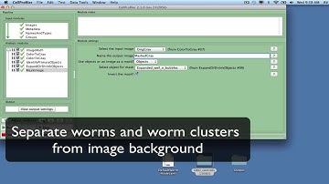 Pipeline 2: CellProfiler tutorials