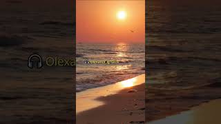 Gorgeous Morning! Golden Sunrise, Sea Waves, Seagulls, Beach & Relaxing Music