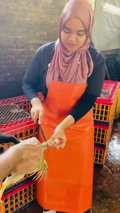 Kerja Praktek (Menyembelih Ayam)