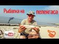 Рыбалка на ПЕЛЕНГАСА. Мой ДЕБЮТ. 🐬🐬🐬 Бердянск 2021