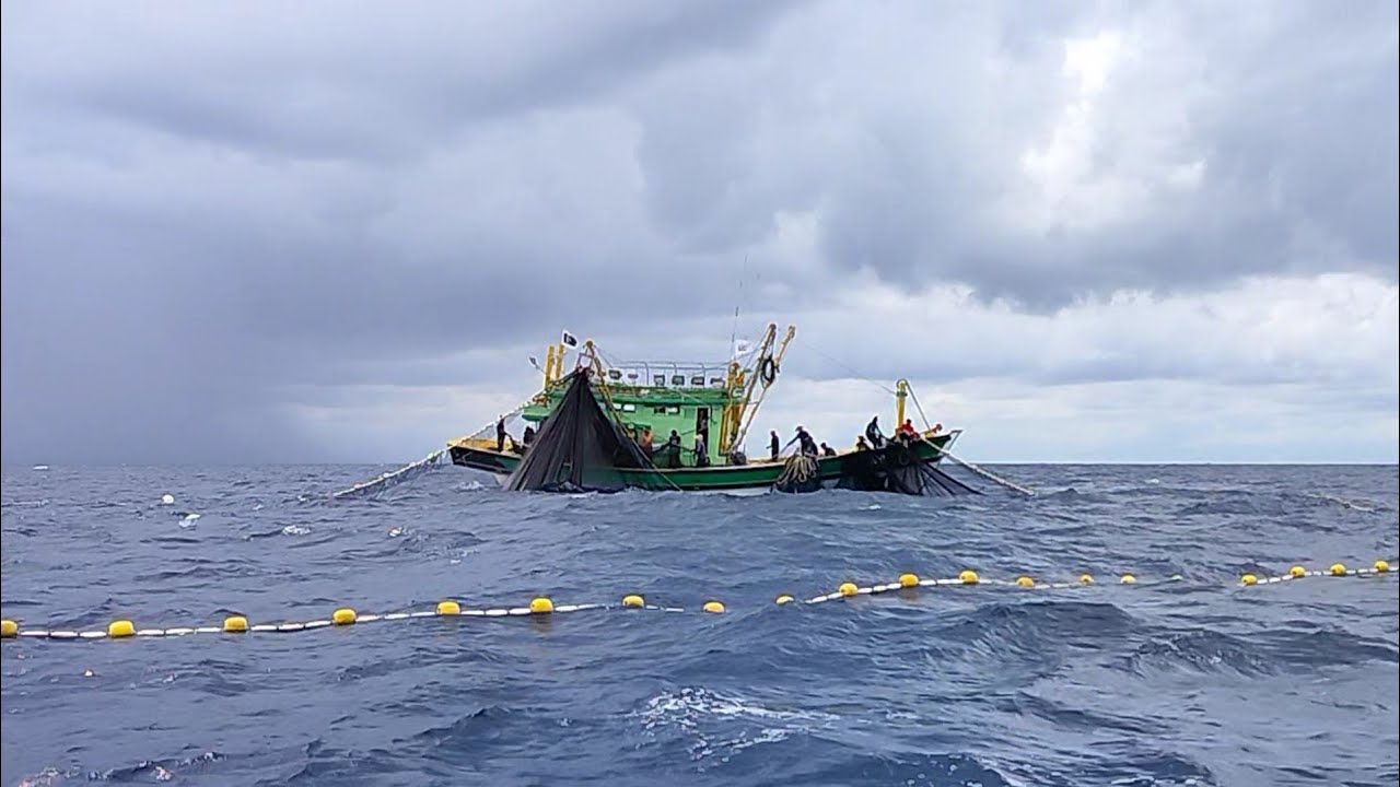 1st trip memukat,,sesi penyesuaian kru dengan jentera/peralatan TRF1100