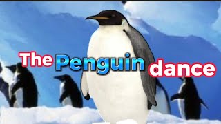 The crazy Penguin dance🐧 🕺😜 🔥 🥶 🎵 #penguin #dance