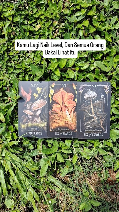 Kamu Lagi Naik Level, Dan Semua Orang Bakal Lihat Itu