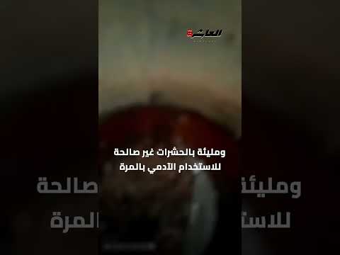 كله دود وخنافس ضبط كميات من السردين متع فن ويباع للناس في بني سويف