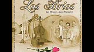 Vignette de la vidéo "Los Brios (No Se Vivir Sin Ti)"