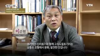 [한국사 탐(探)] - 가야의 미스터리 2부 - 가야문화, 사라진 역사의 흔적 / YTN DMB