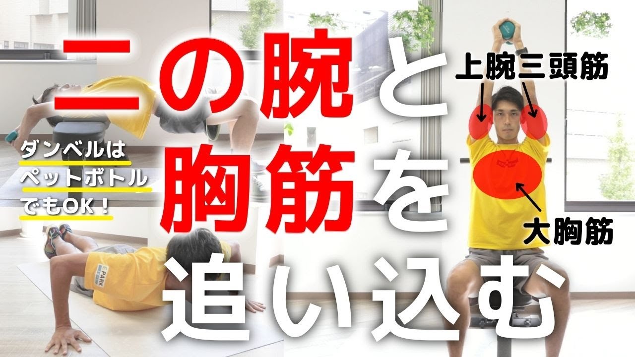 たくましい上半身】二の腕と胸板を鍛える筋トレ。3種目でガンガン追い