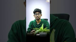 AWS DevSecOps Course Review by Student | Student Review | AWS |@VCUBESoftwareSolutions