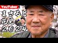 【まさると花見2024】まさる90才の花見!美味しい花見弁当・お酒あります! 再々リベンジ!