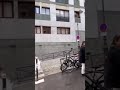 عروسه تهرب من زوجها يوم الزفاف