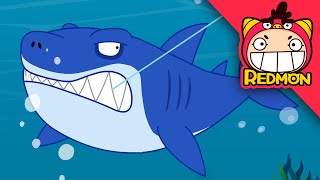Save the Shark | Animal Rescue Team | with alan | REDMON