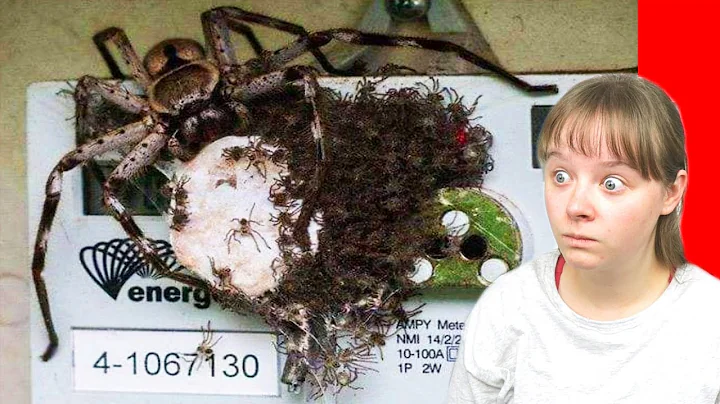 Photos That Will Make You Say HECK NO