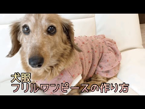 犬服⭐︎ハンドメイド　フリルワンピース 犬服フリルワンピース 犬服ハンドメイド - YouTube