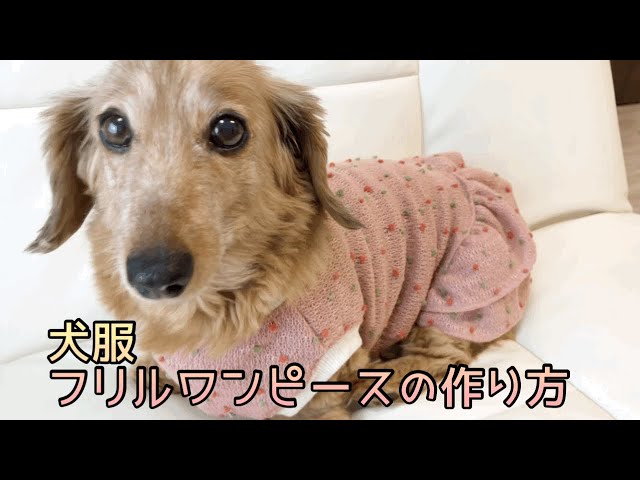 ema_rika　ハンドメイド　犬服　わんこ服　フリフリ3段フリルワンピ mqdefault.jpg