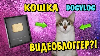 КОШКА ВИДЕОБЛОГЕР?! КАМНЕЕШКА СУЩЕСТВУЕТ?! Мультики про говорящую собаку КОШКА ВИДЕОБЛОГЕР?! КАМНЕЕШКА СУЩЕСТВУЕТ?! Мультики про говорящую собаку