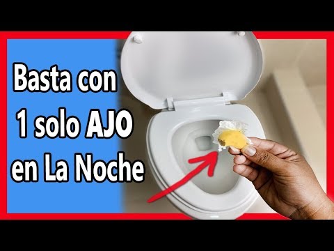 Si le Colocas 1 AJO a tu Inodoro en la noche por la mañana quedarás sin palabras!