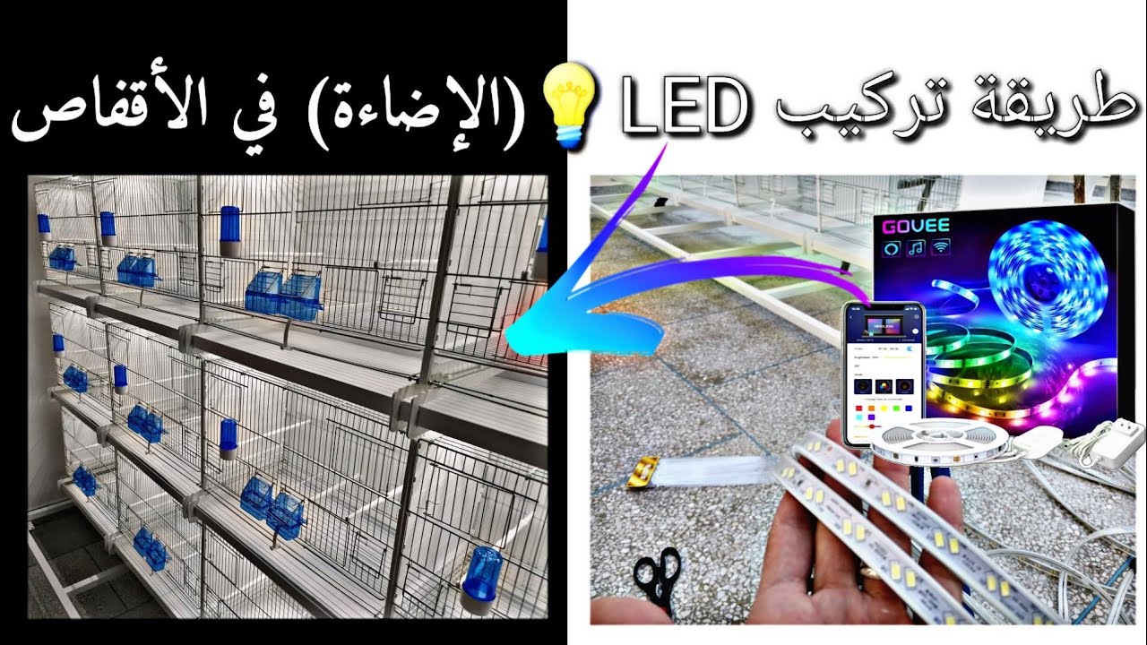 طريقة تركيب LED💡(الإضاءة) في الأقفاص 2GR إستعداد للموسم الإنتاج 2021
