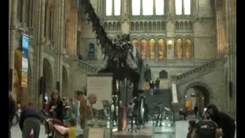 Efficient Energy: Natural History Museum - Vital Energi Trigeneration project for the NHM and V&A