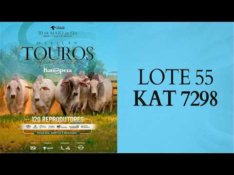 LOTE 55 KAT 7298