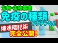 【生物基礎 18】免疫【ワクチン、血清療法】を宇宙一わかりやすく