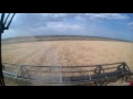 Уборка пшеницы 2017.
