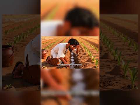 एक गाव मे मेहनती किसान रहता था वो अपने मेहनत से सफल हुआ #shorts #cartoonvideo || mehanati kisan