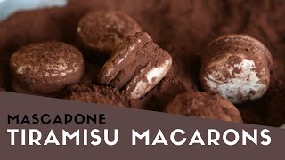 [Eng Sub] 마스카포네 티라미수 마카롱 만들기! 프렌치머랭 무건조 꼬끄 Tiramisu Macaron No resting│자도르