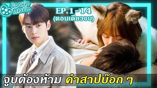 (สรุปเนื้อเรื่อง) จูบต้องห้าม คำสาปบ๊อกๆ (EP.1-14จบ)