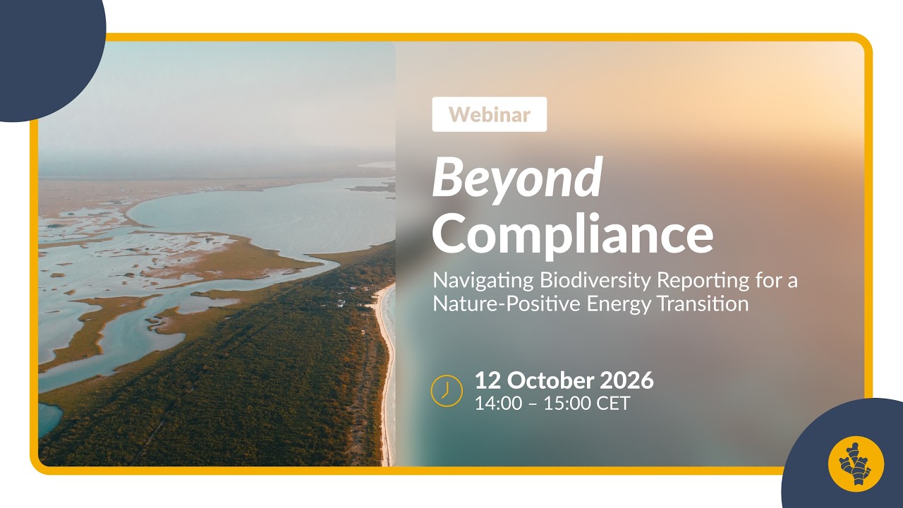 Beyond Compliance: Navigating Biodiversity Reporting for a Nature-Positive Energy Transition