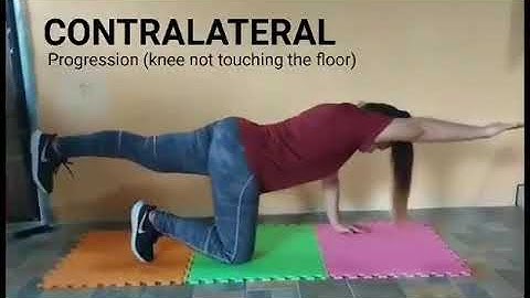 Demonstration Video   Bird Dog Series  Movement Enhancement CONTRALATERAL PROGRESSION