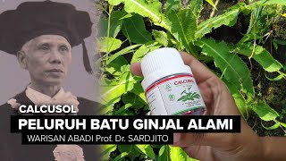 Buang Batu Ginjal Tanpa Bedah