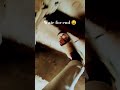 funny video 🤣