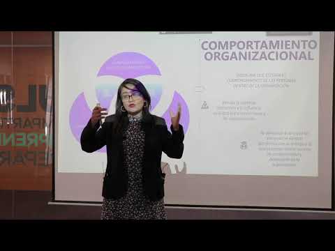 Video: ¿Cómo es beneficioso el estudio del comportamiento organizacional para hacer efectiva una organización?