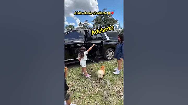 JUKITO THE MOST OBEDIENT 🥹❤️ | #jukilop #shorts #kimberlyloaiza