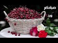 صباحكن ورد وفل
